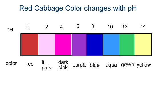 pH scale